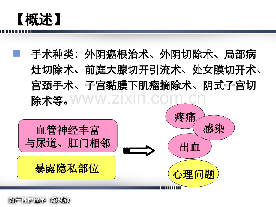 妇产科护理学会阴部手术病人的护理.ppt_第3页