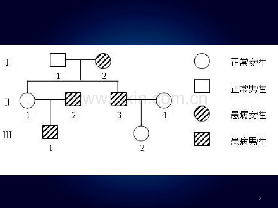 遗传系谱图判断.ppt_第2页