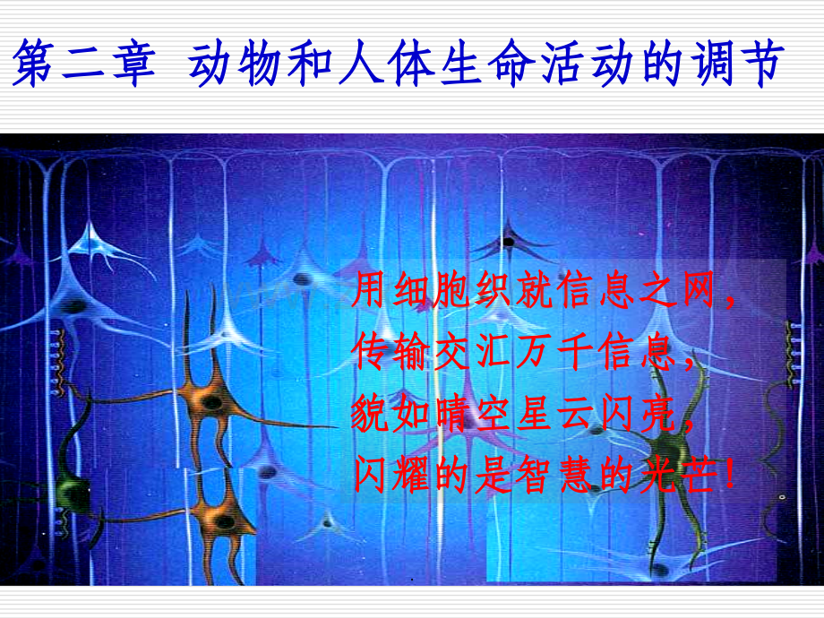 通过神经系统的调节-ppt.ppt_第1页