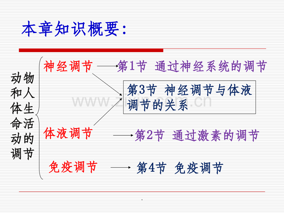 通过神经系统的调节-ppt.ppt_第2页