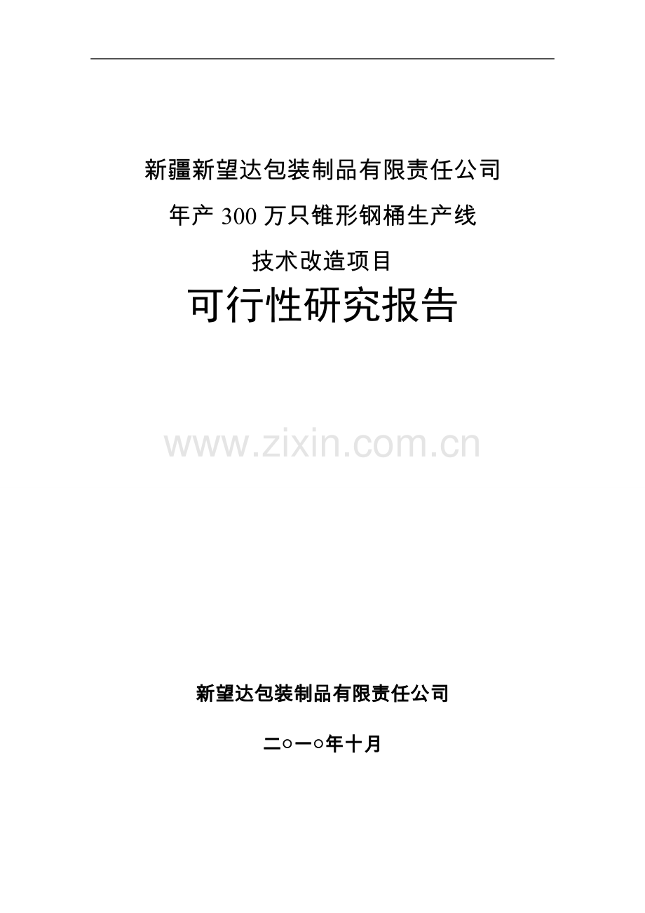 年产300万只锥形钢桶生产线技术改造项目可行性研究报告.doc_第1页