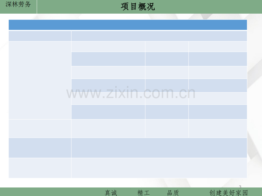 项目总结.ppt_第3页