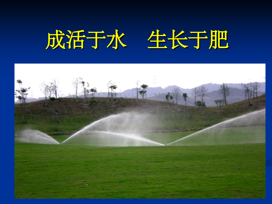 园林植物浇水.ppt_第2页