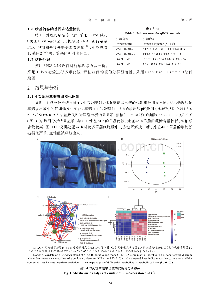 黄芪多糖在草菇冷藏保鲜中的应用.pdf_第3页