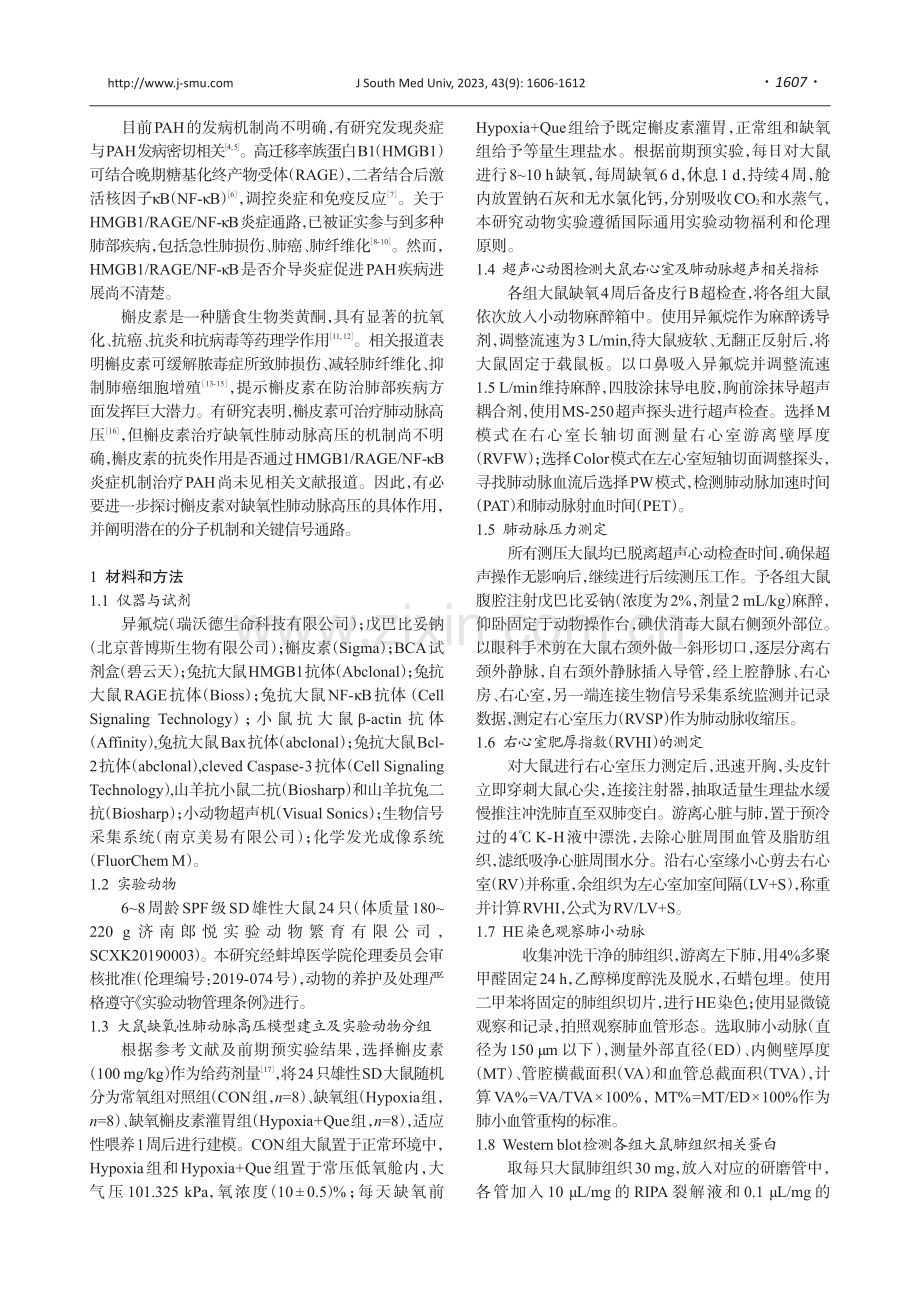 槲皮素可改善大鼠肺动脉高压：基于调控HMGB1_RAGE_NF-κB通路.pdf_第2页