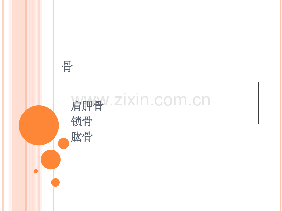 简要肩关节功能解剖.ppt_第3页