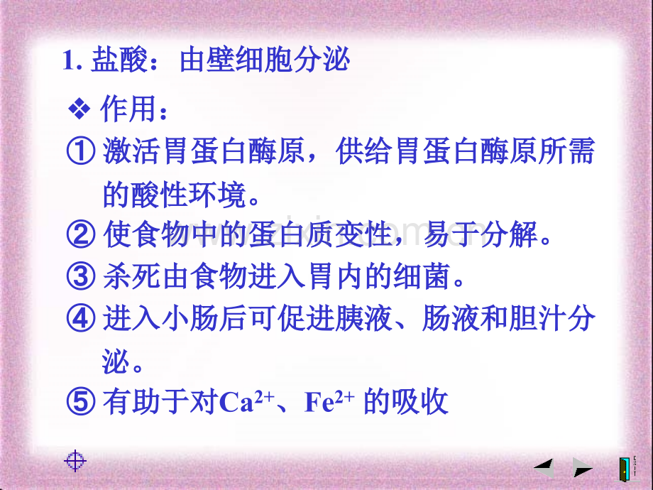 胃的结构及功能：.ppt_第2页