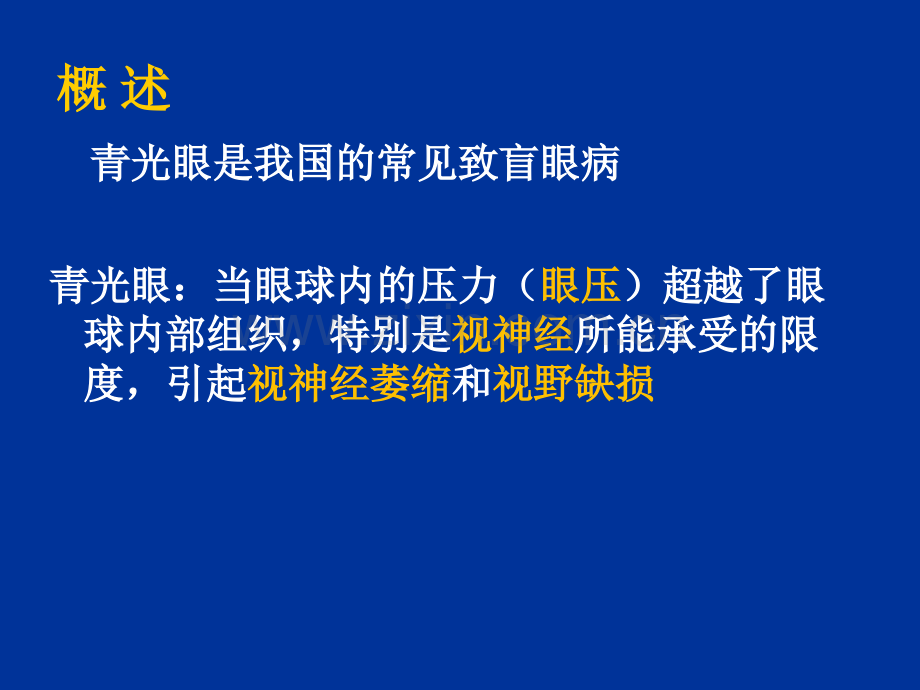 青光眼PPT医学.ppt_第2页