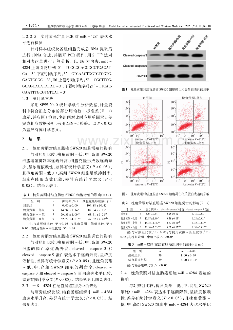 槐角黄酮通过调控miR-4284表达对结直肠癌SW620细胞增殖和凋亡的影响及其机制.pdf_第3页