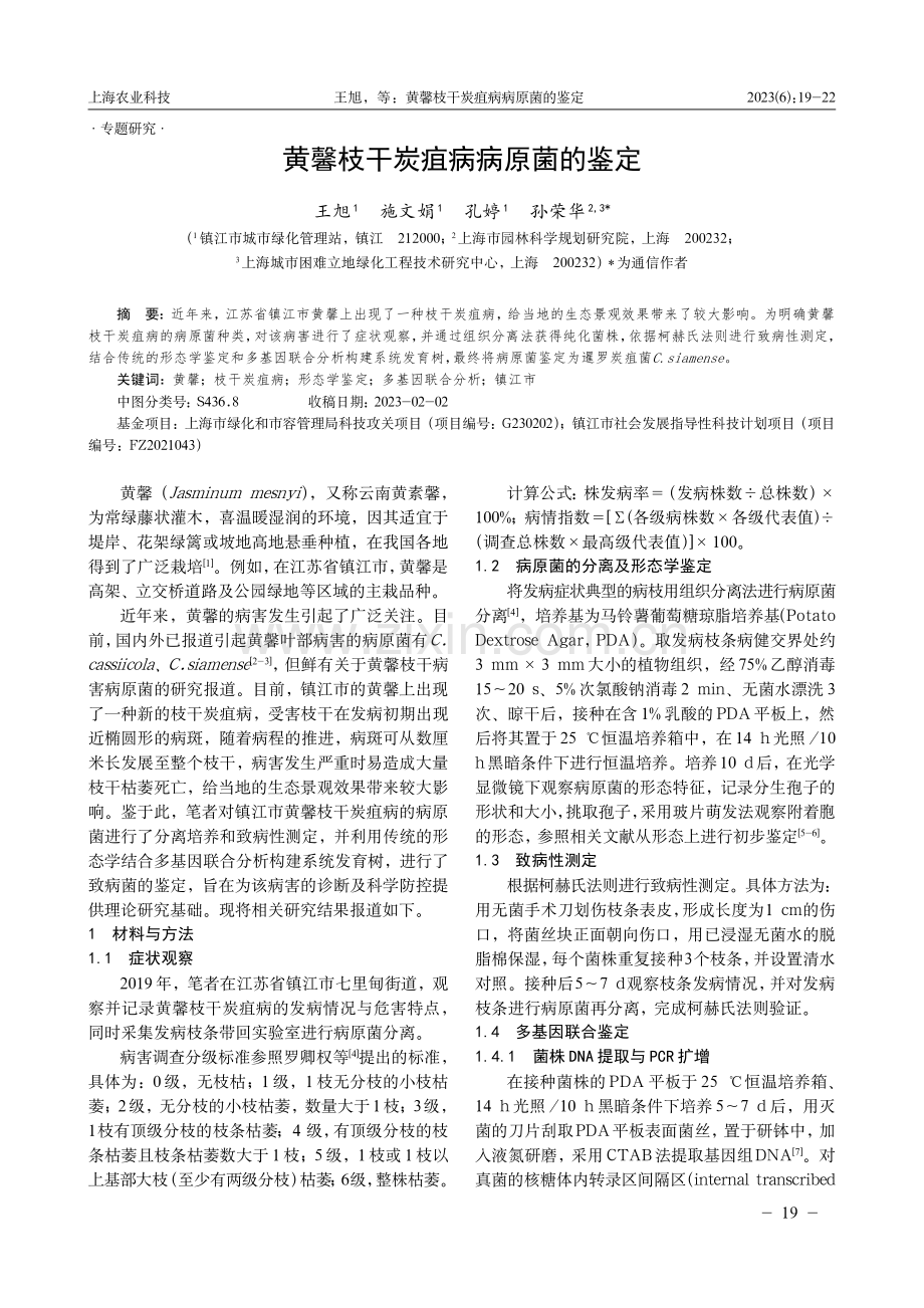 黄馨枝干炭疽病病原菌的鉴定.pdf_第1页