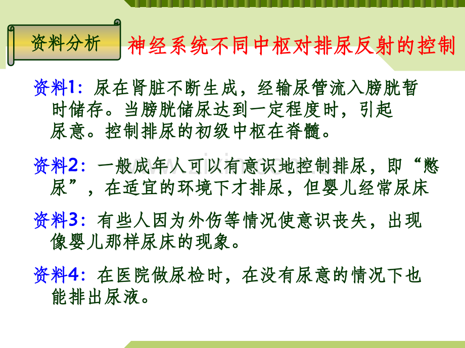 神经系统的分级调节.ppt_第3页