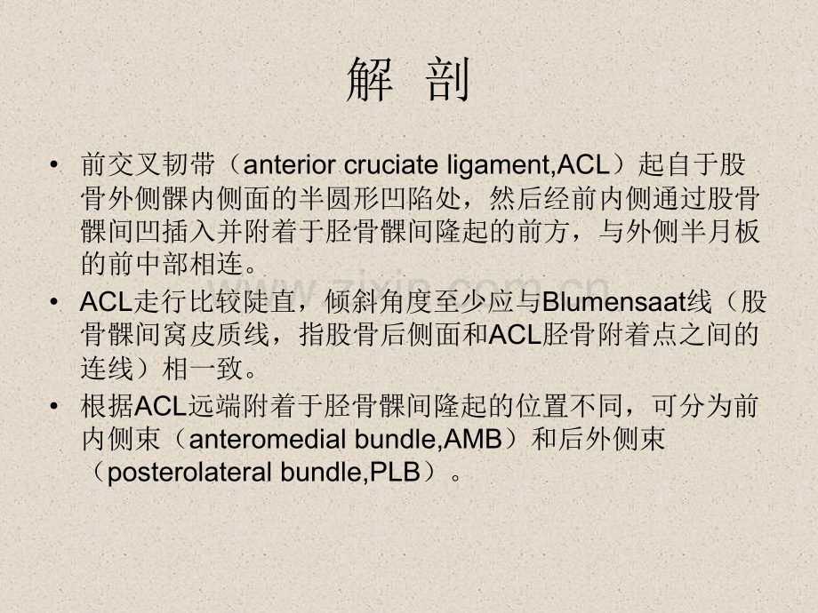 前交叉韧带损伤磁共振诊断ppt医学.ppt_第3页