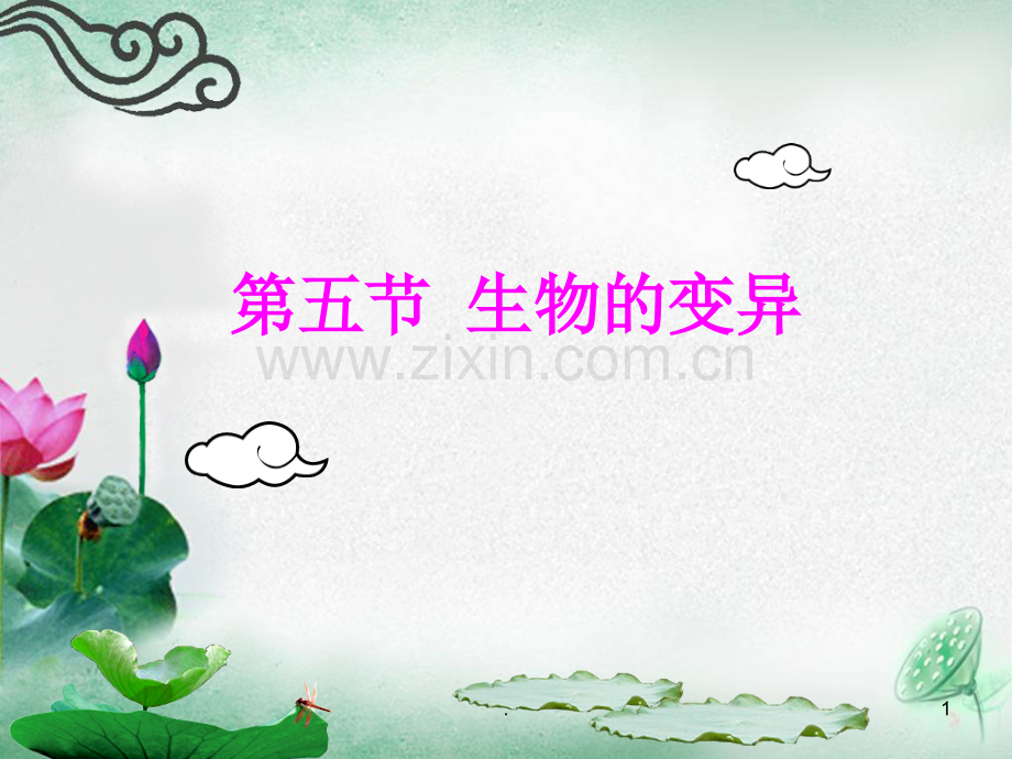 生物的变异-(共41张1).ppt_第1页