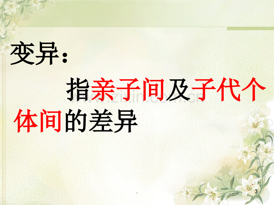 生物的变异-(共41张1).ppt_第3页