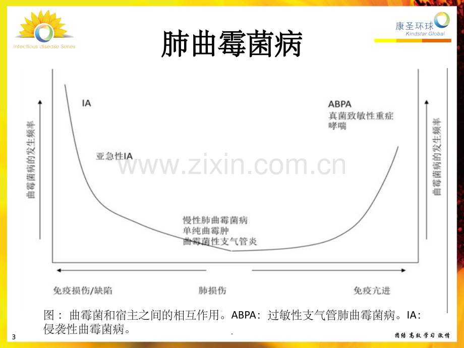 支气管灌洗液的GM检测.ppt_第3页