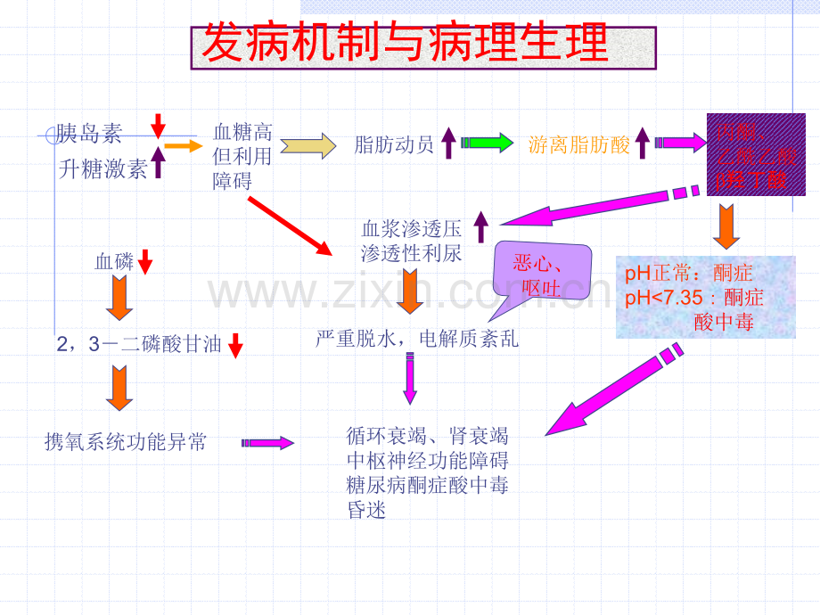 糖尿病酮症酸中毒与高渗性昏迷.ppt_第3页