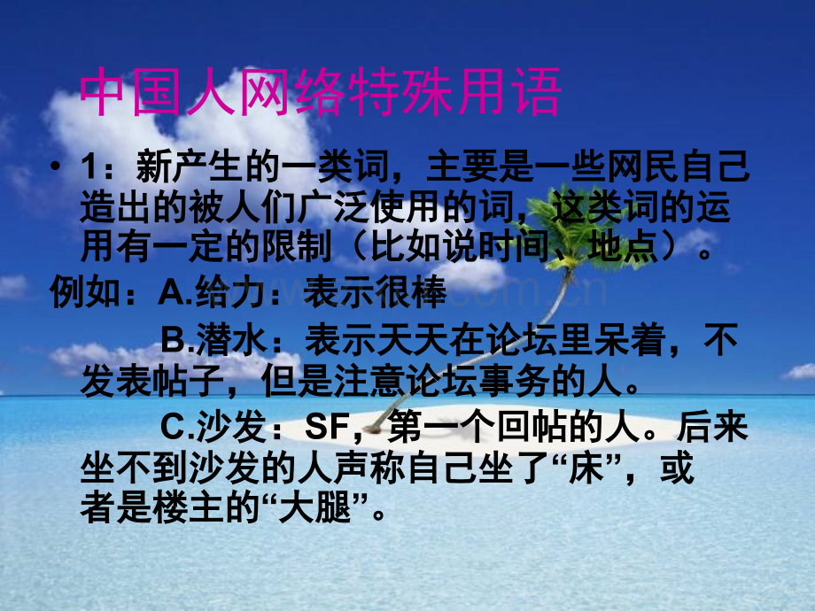 关于网络特殊用语.ppt_第3页