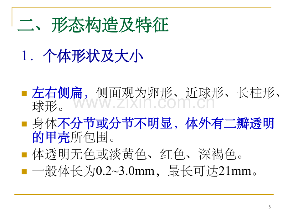 水生生物学-枝角类.ppt_第3页