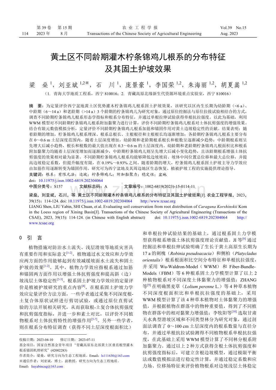 黄土区不同龄期灌木柠条锦鸡儿根系的分布特征及其固土护坡效果.pdf_第1页