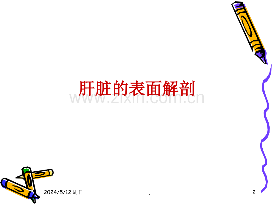 肝的解剖及分段.ppt_第2页