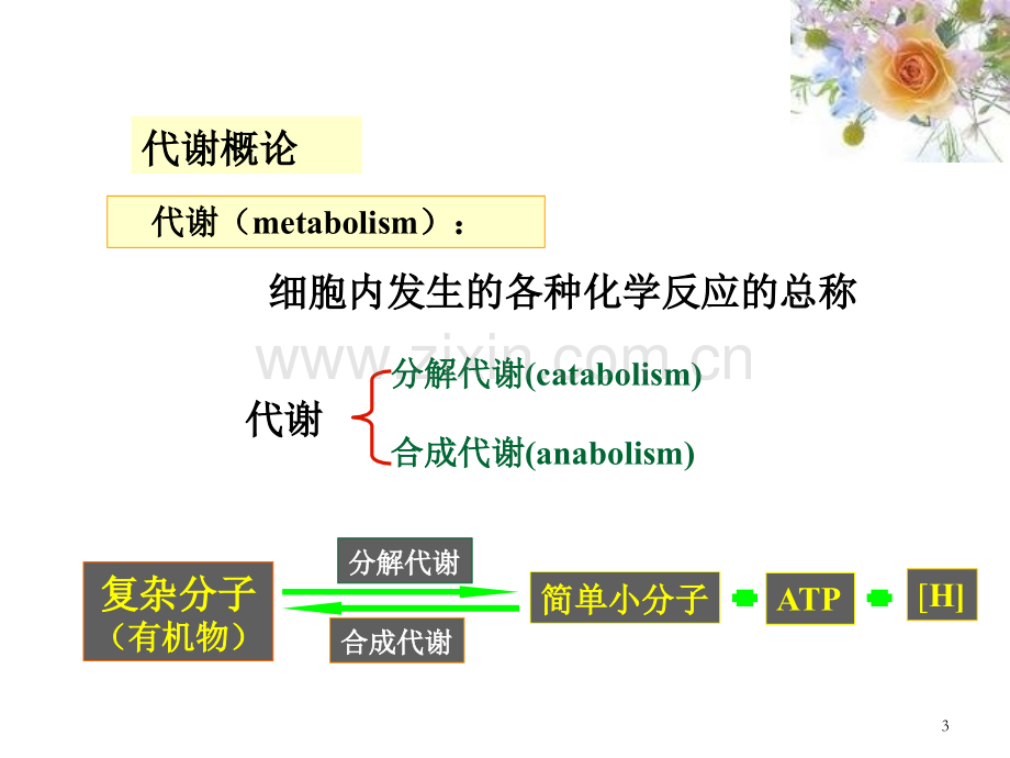 微生物的代谢.ppt_第3页