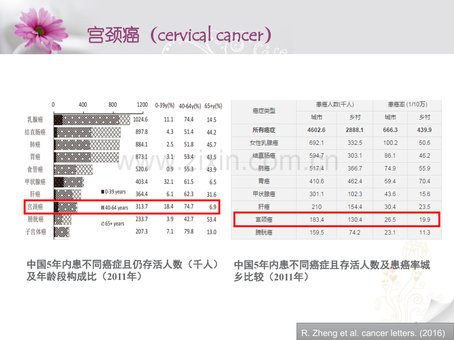 宫颈癌筛查与诊断.pptx_第3页