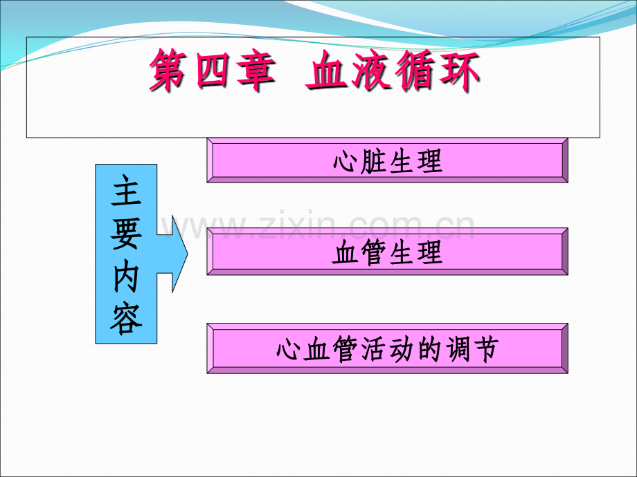 生理学-血液循环(心脏泵血).ppt_第2页