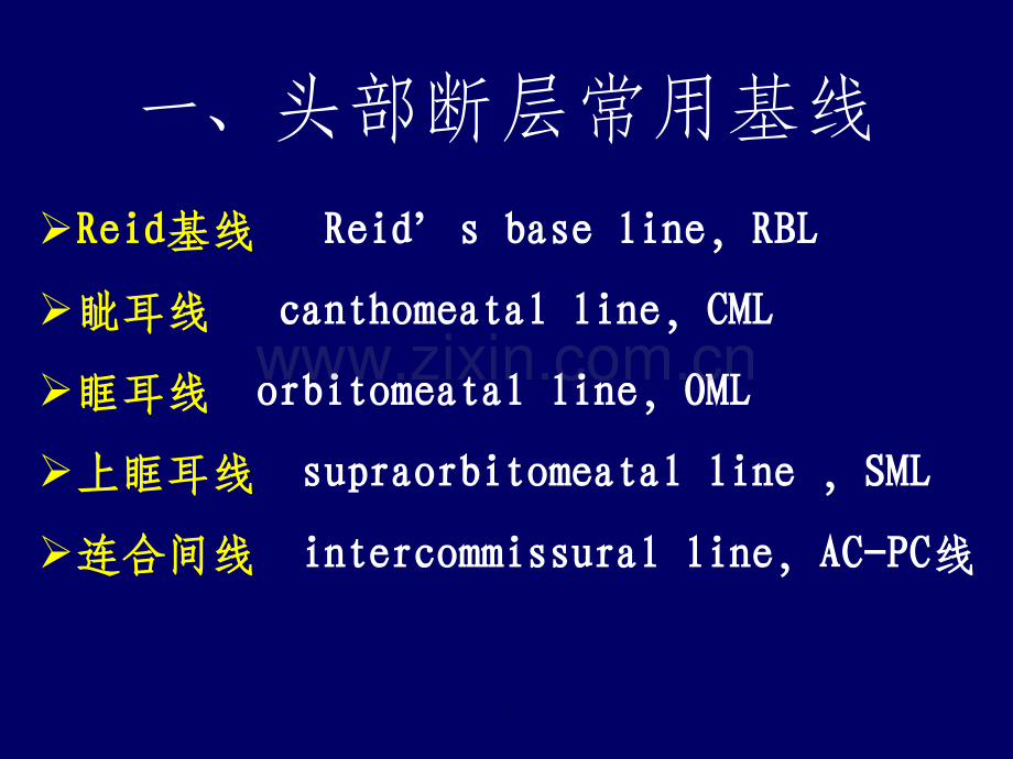 头部断层解剖学-人体断层解剖学.ppt_第2页