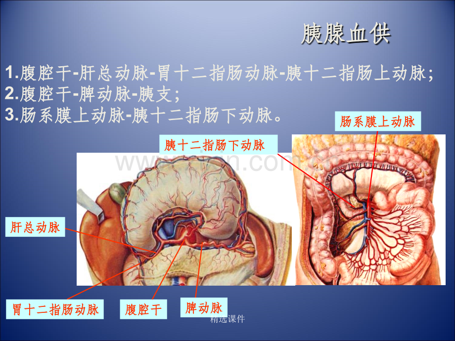 胰腺肿瘤影像学诊断.ppt_第3页