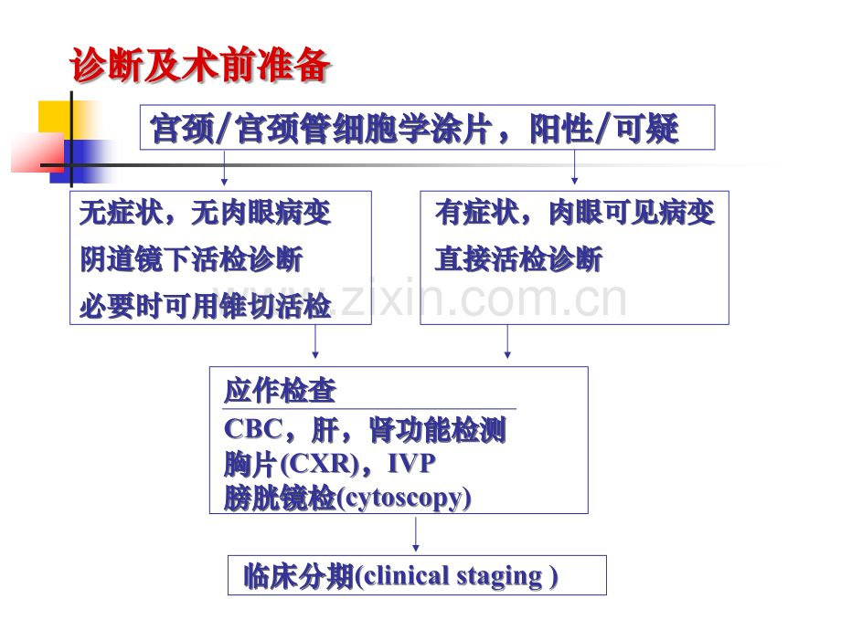 女性宫颈癌手术治疗方法.ppt_第2页