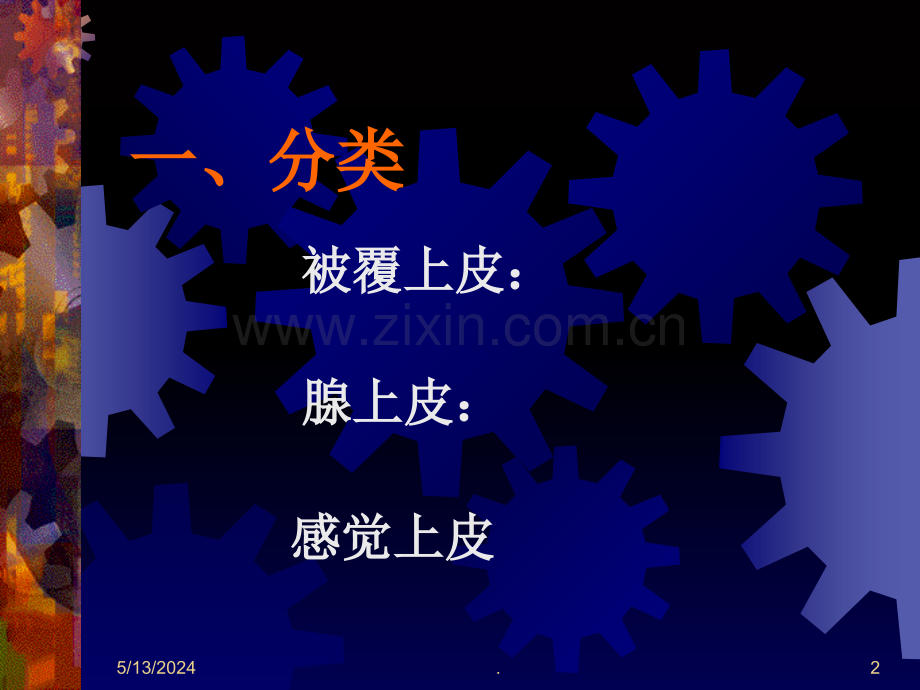 B上皮组织.ppt_第2页