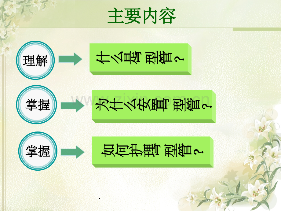 T型管的护理.ppt_第3页