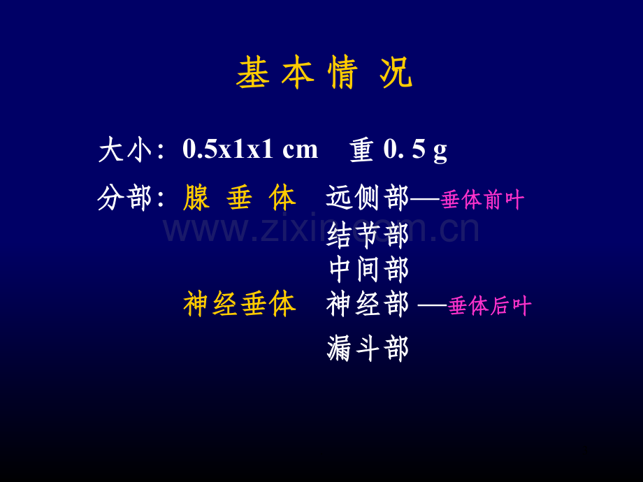 垂体和垂体病变影像.ppt_第3页