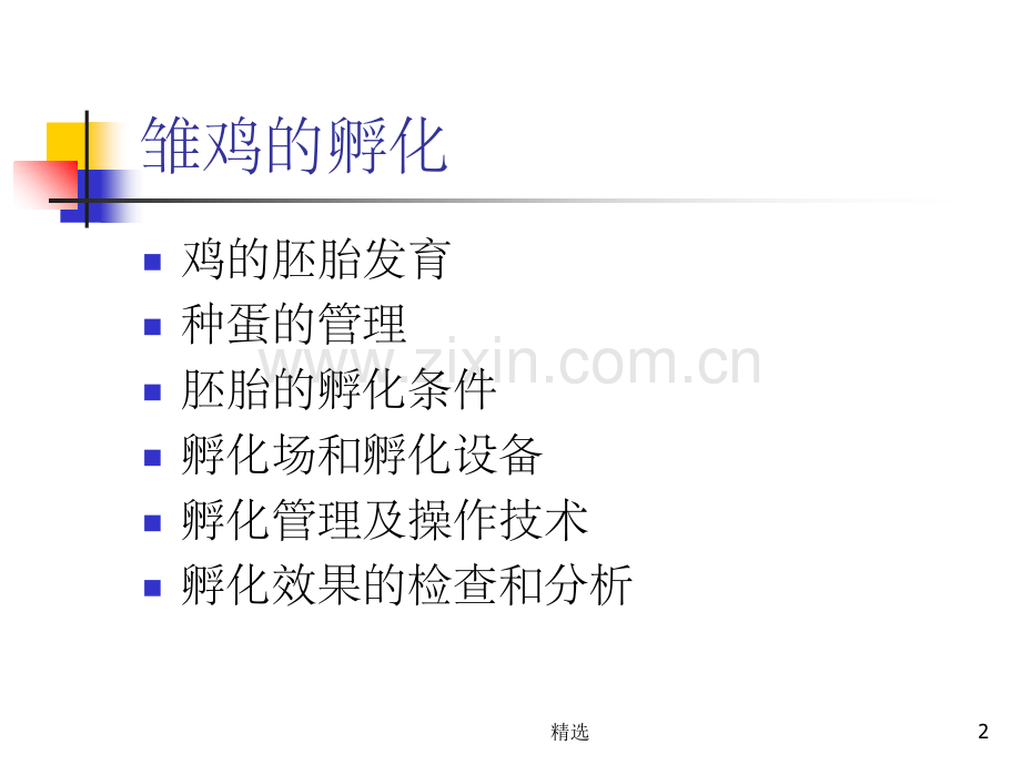 家禽的孵化全过程及管理.ppt_第2页