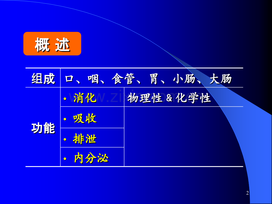 组织学消化管.ppt_第2页