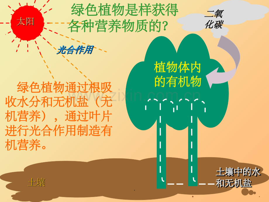 初中生物《生物的新陈代谢》.ppt_第3页