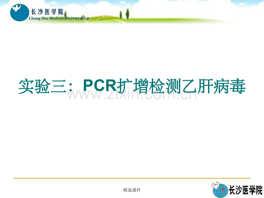 PCR扩增检测乙肝病毒.ppt_第1页
