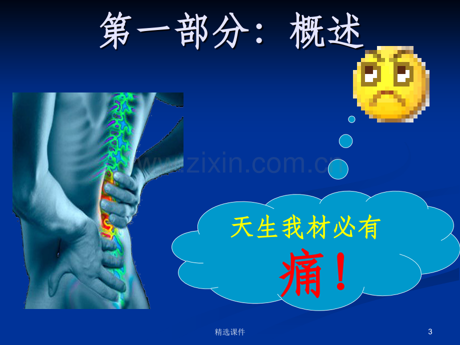 腰痛的诊断与鉴别诊断.ppt_第3页