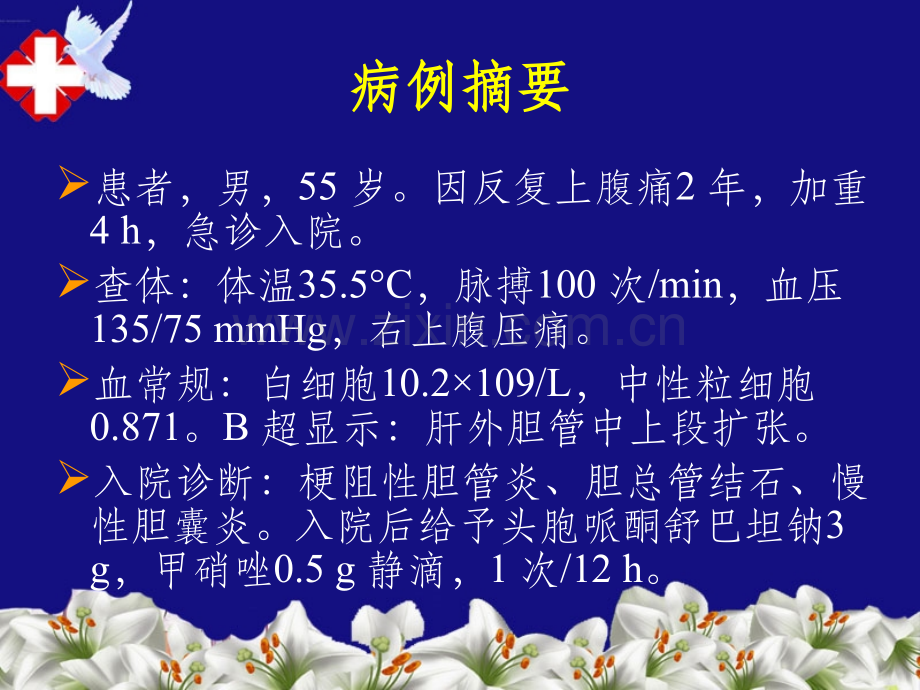 脓毒症脓毒性休克.ppt_第2页