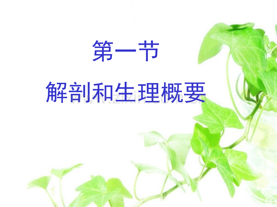 小肠疾病病人护理.ppt_第2页