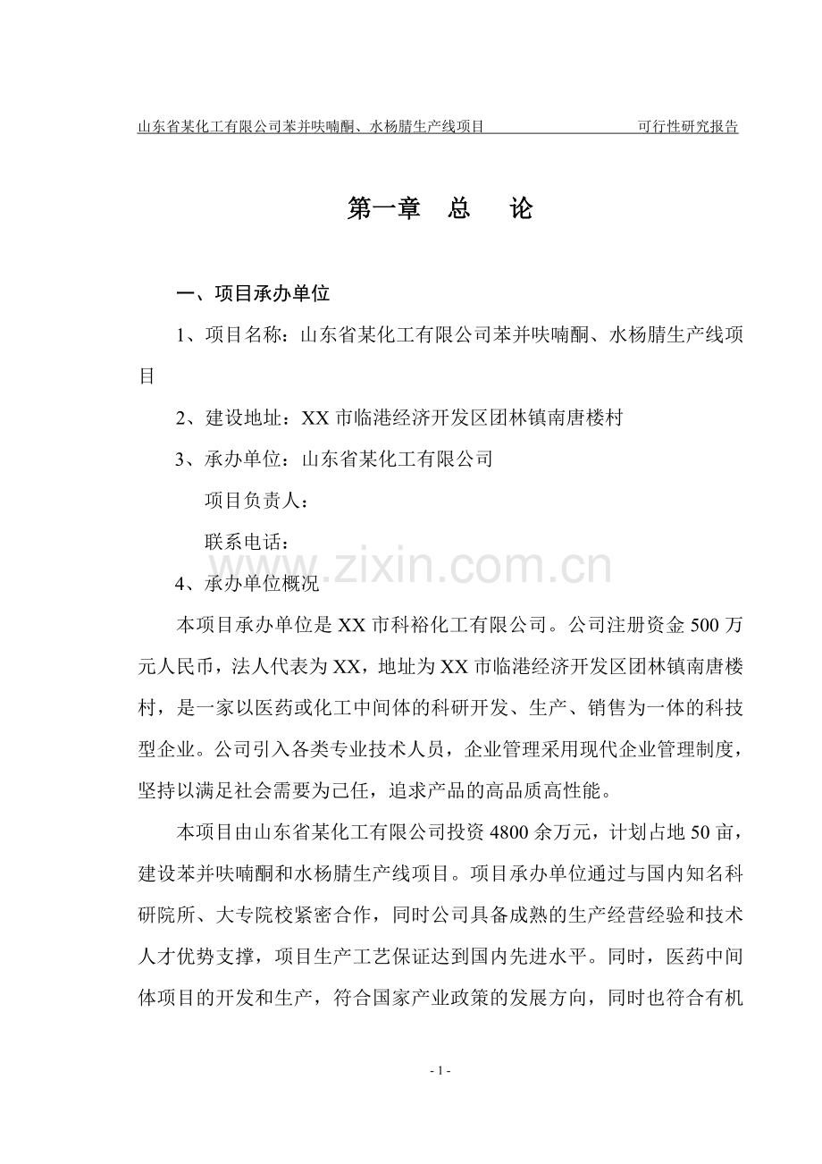 山东省某化工公司苯并呋喃酮、水杨腈生产线项目可行性研究报告.doc_第3页