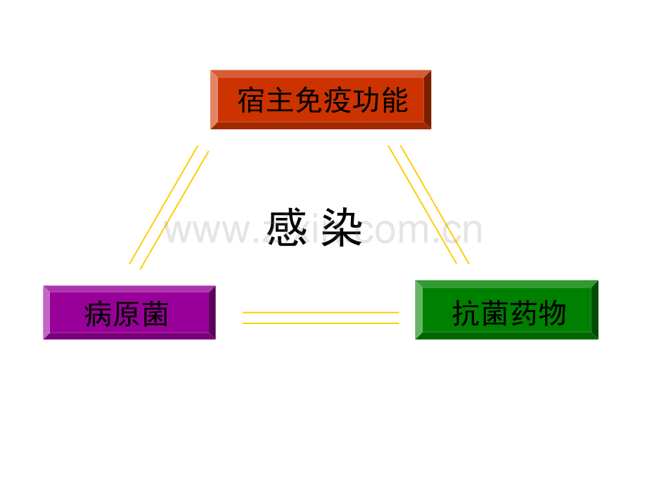 造血干细胞移植后的感染.ppt_第2页