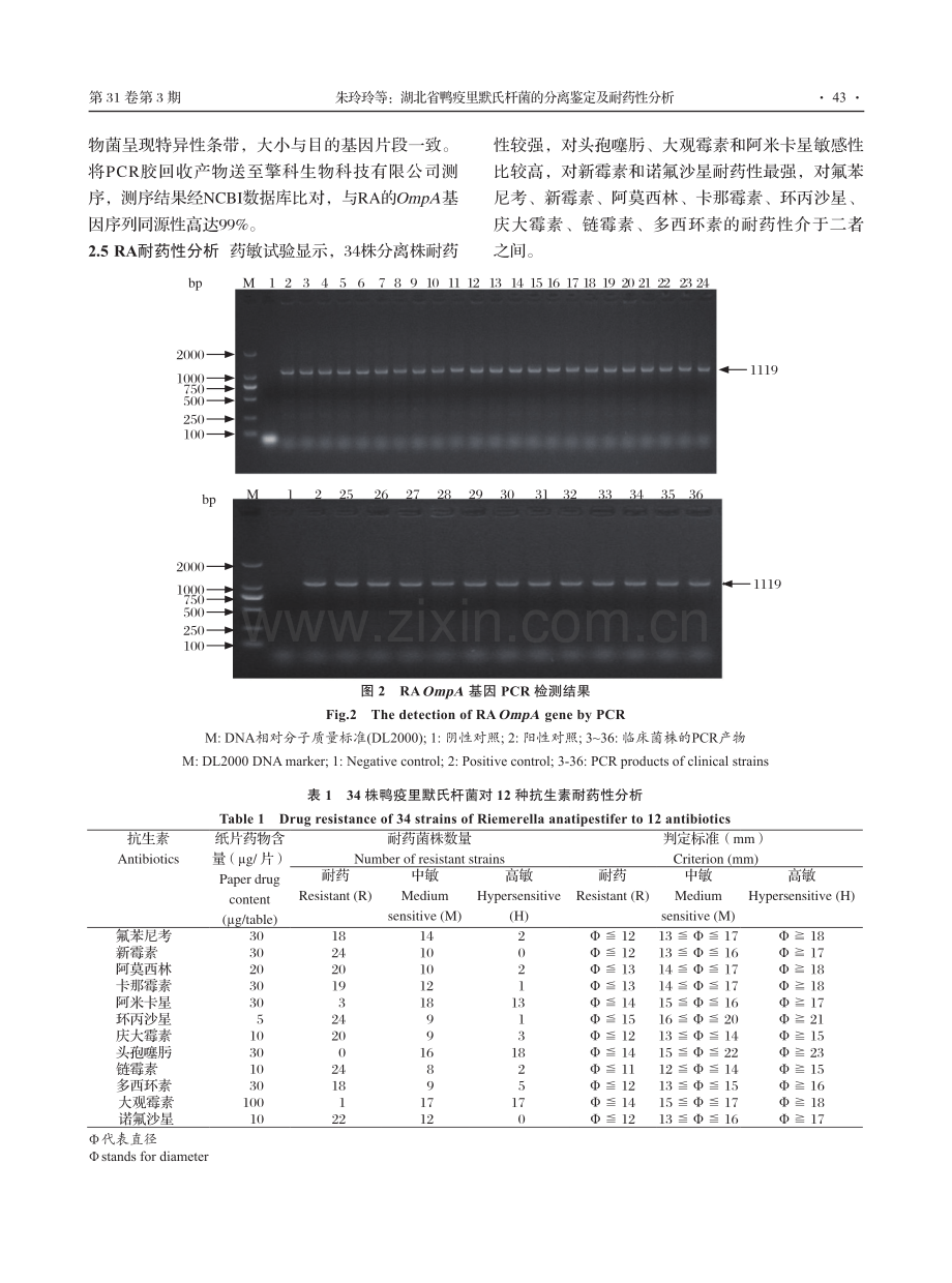 湖北省鸭疫里默氏杆菌的分离鉴定及耐药性分析.pdf_第3页