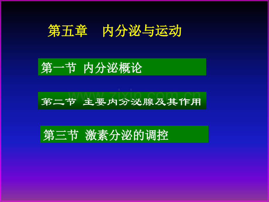 运动生理学内分泌.ppt_第1页