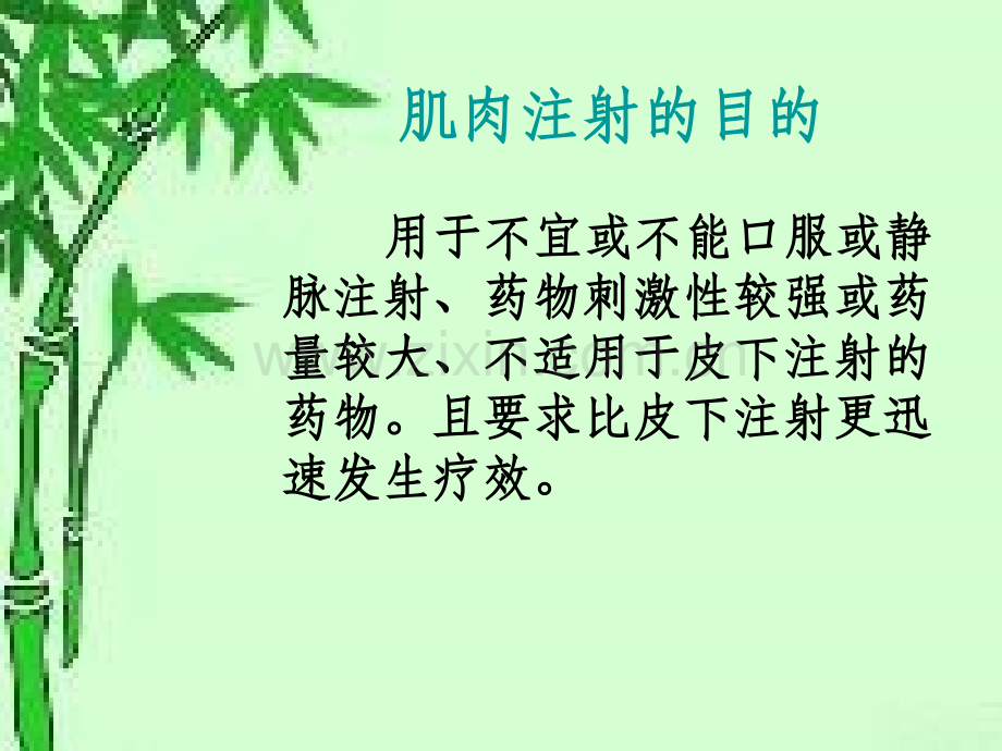 肌肉注射.ppt_第2页