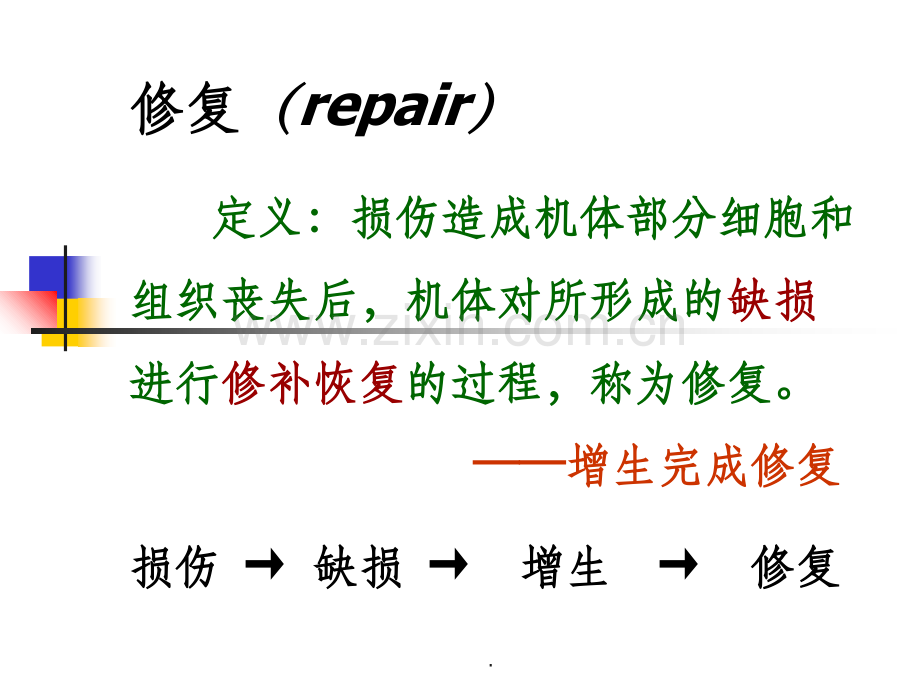 细胞、组织损伤修复.ppt_第3页