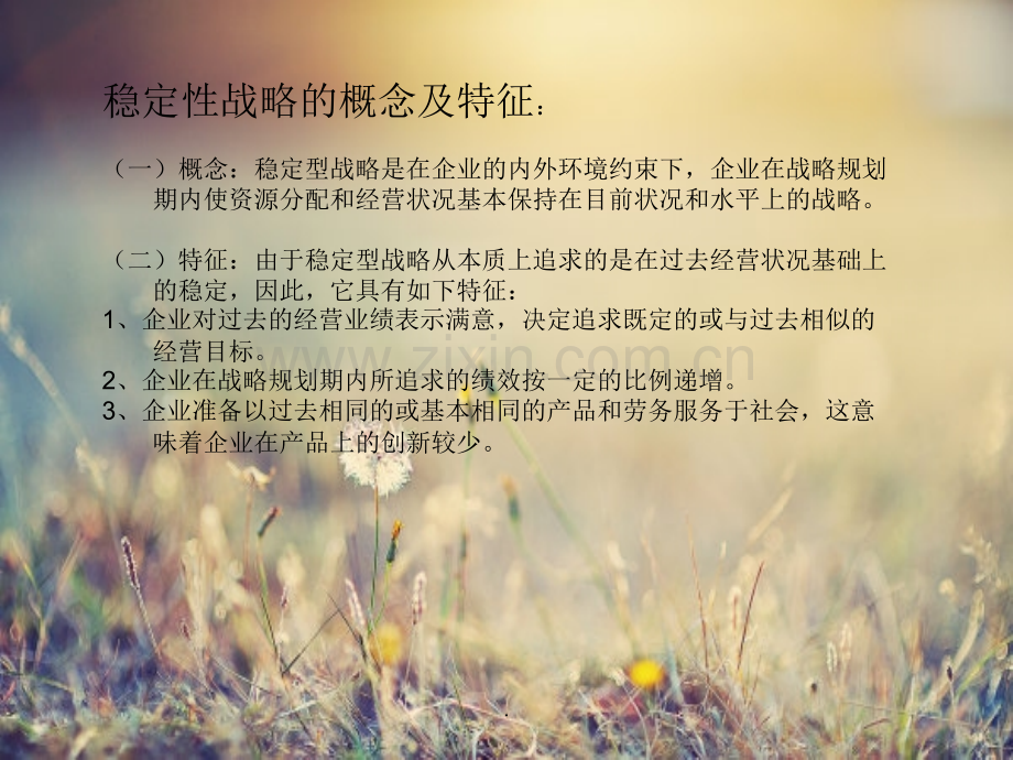 稳定型战略分析(--第二组).ppt_第2页