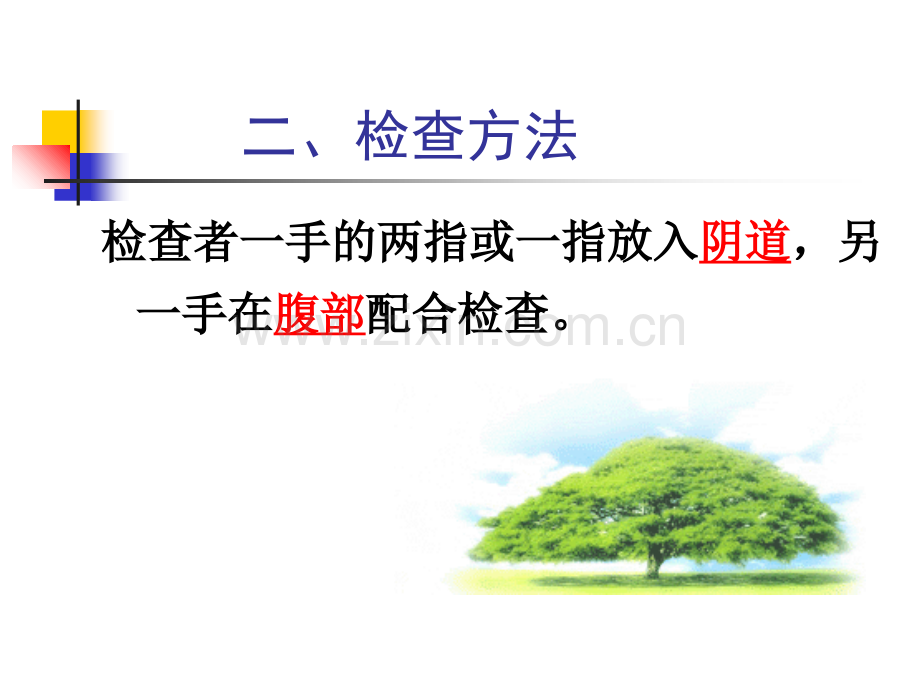 双合诊-带教概述.ppt_第3页