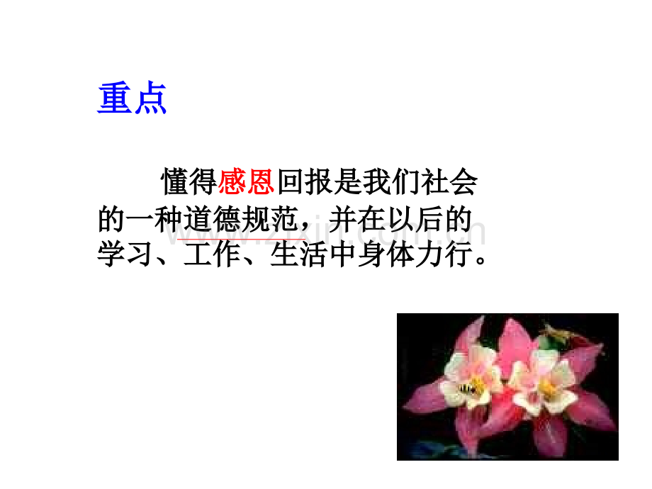 学会感恩主题班会.ppt_第3页