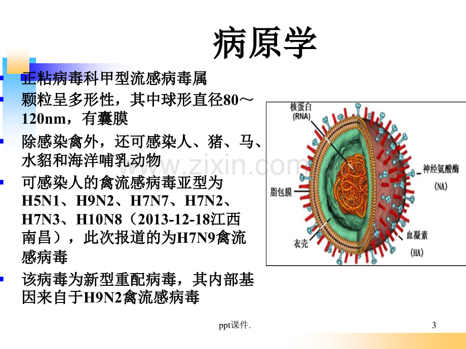 人感染H7N9禽流感的防控.ppt_第3页